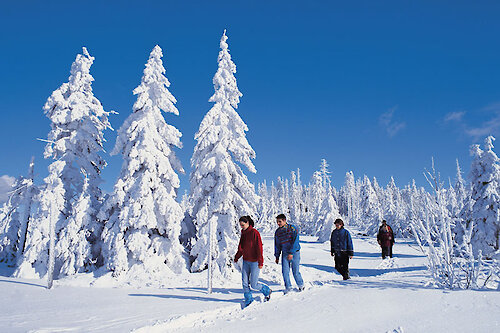 Winterwandern im Bayerischen Wald